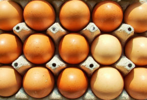eggs-1561798-639x435