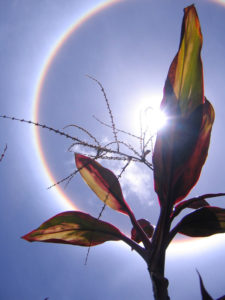 rainbow-over-the-sun-1536390-639x852