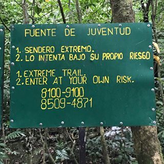 Teaching life lessons in the cloud forests of Nicaragua 🇳🇮. The intended take away was that sometimes you need to take the hard path to reap the greatest rewards, but the kids might disagree and say that you should always take heed of the warning signs ⚠️ 😂 . Either way it was a memorable day 🥾